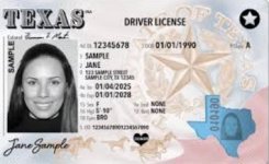 identification-card-texas-carding-forums.jpg identification-card-texas-carding-forums.jpg